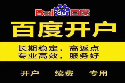 百度移动端应用推广策略探讨