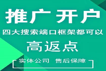SEM代理助力企业：成功案例分析